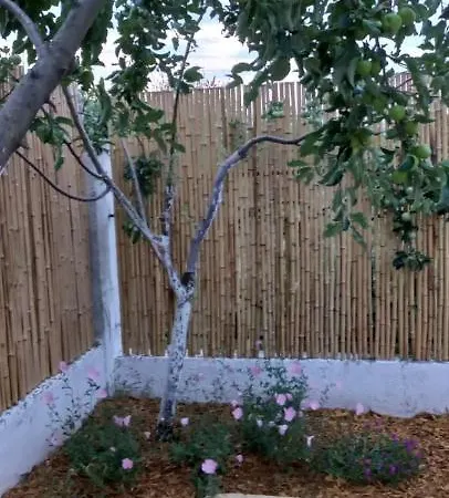 вила жаклин - Private House Jaklin With Pool Sveti Vlas